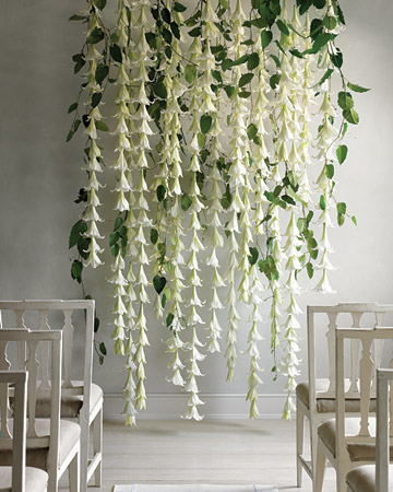 Wedding Backdrop Decorations on 10 Hot Wedding Trends For 2013   8 Backdrops